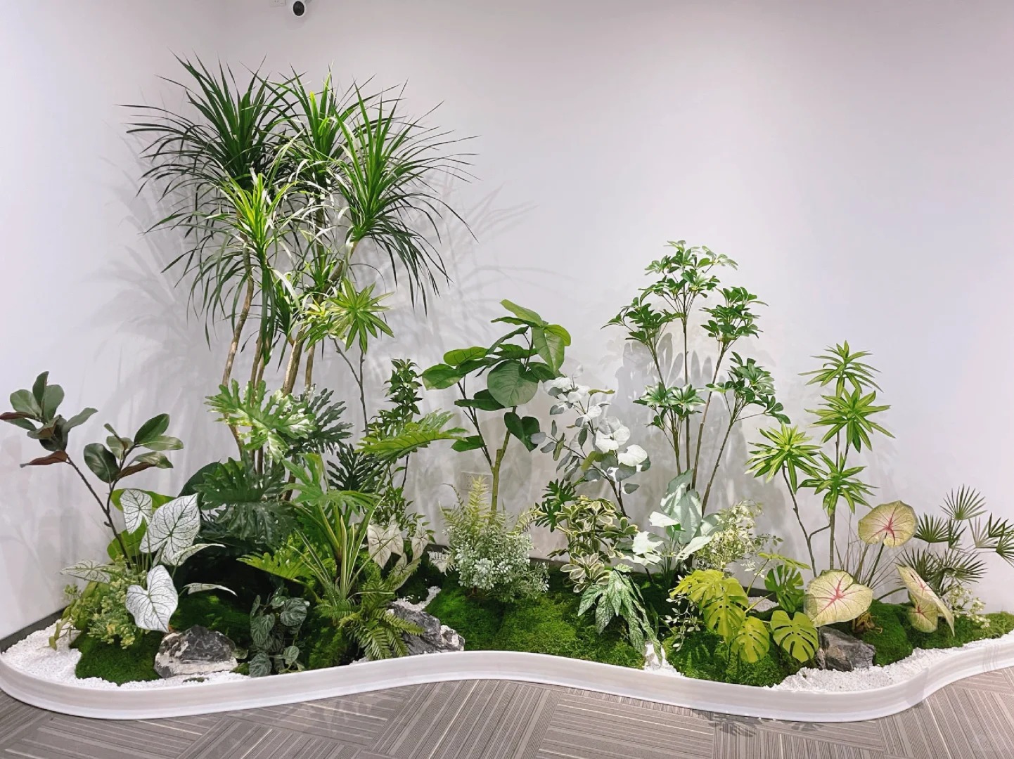 了解!江北盆景租摆摊出高格调室内景观